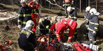 Vzrostlý strom spadl na muže, který bohužel na místě zemřel