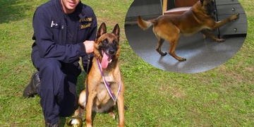 "Jednou dožije u mě doma, jsme parťáci!" říká psovod o Utonovi