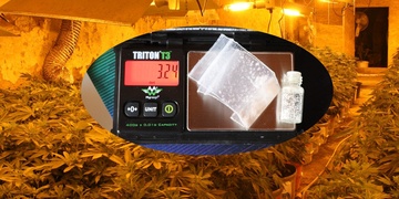 TOXI tým odhalil varnu i pěstírny