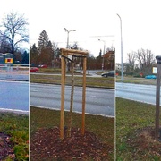 Zlámal sedm jasanů - pátrá po něm policie