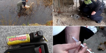 Slzák na výtržníka, labuť záchranářům a odstranit stříkačky