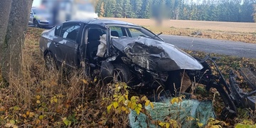 "Nezlobte se prosím, já jsem si to jenom půjčil!"