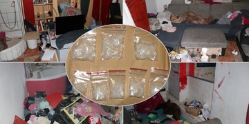 Toxi tým rozprášil další, tentokrát "prasácký" gang