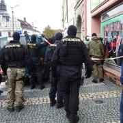 Další obrovská, protidrogová, policejní razie - nyní terčem Stříbro