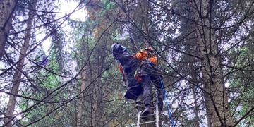 Paraglidista havaroval a skončil v lese zakleslý na stromě ve výšce asi deset metrů