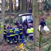 Padající strom zabil v lese muže