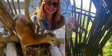 Záchrana muflonka během natáčení