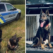 Policisté společně se služebním psem Frigem zadrželi podezřelého