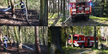 Další požár lesa u Plzně, hasiči se nezastaví