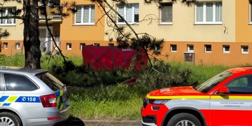 Muž vyskočil z okna a na místě zemřel