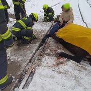 Kůň uvízl na železniční trati