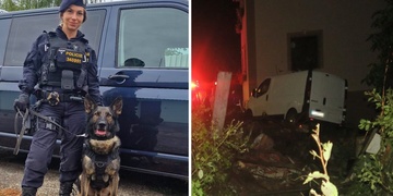 Opilého řidiče, který utekl od nehody, stopovala Terezka s Kalym dva a půl kilometru