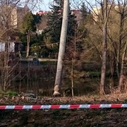 Hasiči překazili bobrovi jeho plány