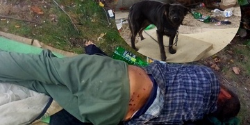 Speciální akce se prohnala Plzní: Stovka bezdomovců přišla o pelechy