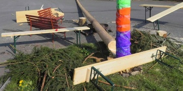 Policie šetří podřízlou májku - Aktualizace!