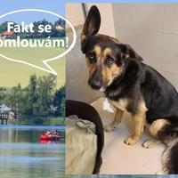 Velká pátrací akce na Boleváku byla ukončena