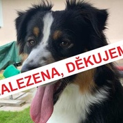 Pomozte prosím najít Bibinku - aktualizováno, nalezena