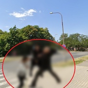 Viděli jste v pondělí napadení U Borského parku?