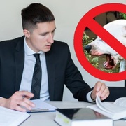 Majitelka svého psa nezvládá a ten už jednoho psa zabil a druhého potrhal