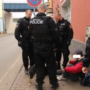 Jeden na záchytku, druhý do útulku
