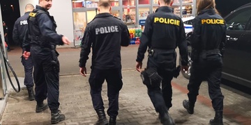 "Stýská se mi po psu, ale jinak je to tu skvělé!"