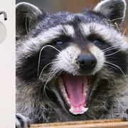 Nudíte se? Pořiďte si medvídka...