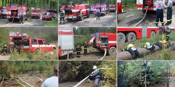 Lesní požár u Plzně - byl vyhlášen druhý stupeň požárního poplachu