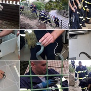 Hasiči "lovili" zvířata v ZOO