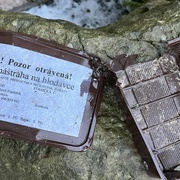 Pozor na traviče psů v Klatovech