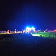 Pod vlivem alkoholu převrátil auto
