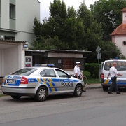 Podezření na cizí zavinění se nepotvrdilo