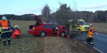 Auto narazilo do stromu, řidiče transportovali na Emergency