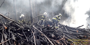 Lesní požár u Zruče-Sence