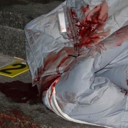 Useknutá hlava, ubodaní senioři a mrtvá babička pod balkonem