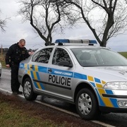 Včelí úly nebyly zrovna nejlepší skrýš