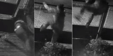 Pachatel vloupání si rozbil ústa a utekl