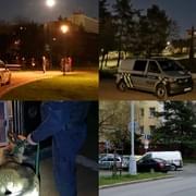 Tři případy násilí z plzeňských ulic