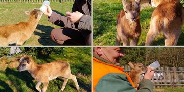 Pozor! Cituplný snaživec z města zasahuje!