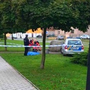 Smrt ženy v parku