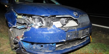 Řidič se srazil s danělou