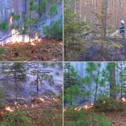 Lesní požáry u Plzně