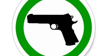 "Zbraně vám nevezmeme," zaznělo dnes z parlamentu