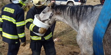 Hasiči vyráželi na pomoc nemocnému koni