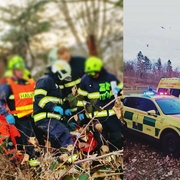 Kráva velice vážně zranila muže