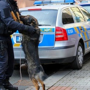 Služební pes Gorbi zadržel pachatele na útěku