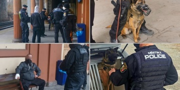 Capo si řev na pána nenechal líbit