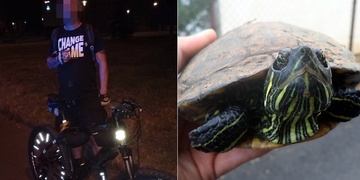 Opilý cyklista i nalezená želva