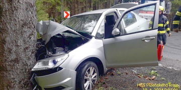 Auto řízené řidičkou narazilo do stromu