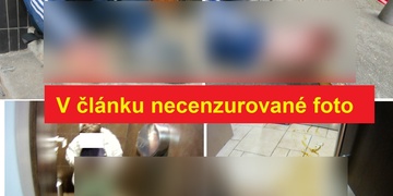 Bezdomovci omrzly nohy, další zase zdevastoval dámskou toaletu