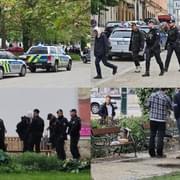 V Křižíkových sadech v Plzni před chvílí pobodali ženu